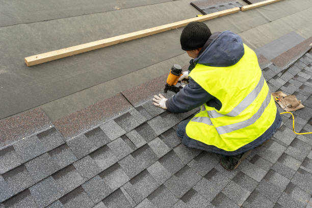 Best Roof Gutter Cleaning  in Eureka Mill, SC