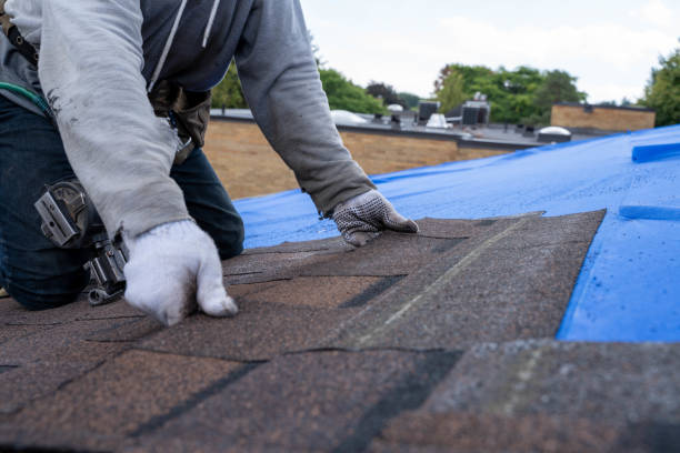 Best Residential Roofing Contractor  in Eureka Mill, SC